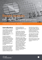 Smart Movers: EMV migration in global perspective